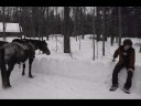 vladymir et ses d�sirs