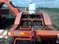 videos de potato harvesting #2