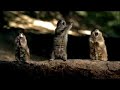 Bridgestone Super Screamer Super bowl XLII Commercial ad 200