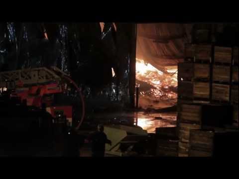 Bekijk hier de video