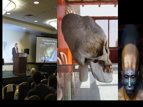 New DNA Results from Paracas Elongated Skulls from Peru — Ready for ...