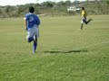 usmt vs morelia