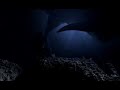 MEG test footage trailer WOW cool no sound