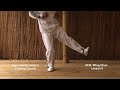 Wing Chun lesson 6