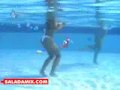 Samambaia-e-Mirella-