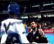 Iran-taekwondo-champ