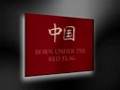 videos de Filmmaker Explores Themes of China