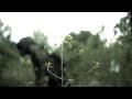 Blackcell: Bonus Footage! Blackcell: Bonus Footage!