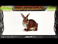 Click here to watch this video Bukez Finezt - Hiccup [Bassclash Records]