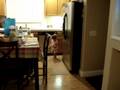 videos de lyla's spoons