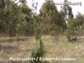 videos de Msitu watoto -  Il campo dei bambini.