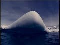 Windsurfing Antarctica