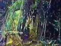 Hermeto-Pascoal-More