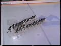 1998 - Les Eclipses - Junior Long - Canadians