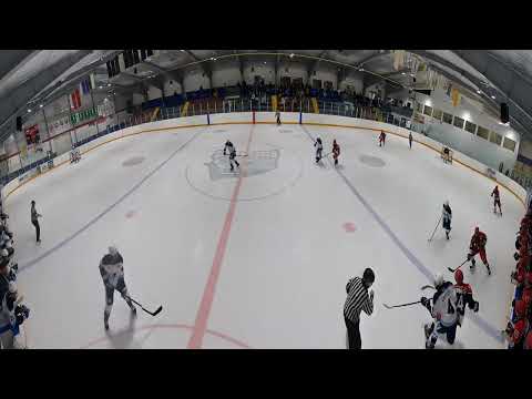 Physicality & Strength - Marcus Carter #4 v Grey-Bruce Highlanders 3rd Period