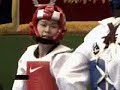 2007 Classified Taekwondo Competition 2007 Classified Taekwondo Competition