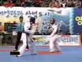 2007 Classified Taekwondo Competition