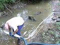 prospecting for gold