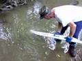 prospecting for gold
