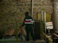 funk daddy skate video