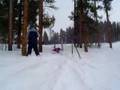 CESCO'S RAINBOW RAIL BAIL!