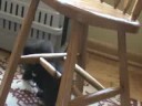 Kittens & Jon Auer music