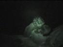 Mad-Labs Scare 2 of 8