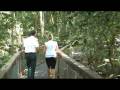 Sea Acres Port Macquarie - FocusTV