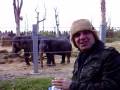 حديقه حيوانات برمنكهام.mp4