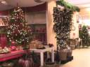 Kerst in Goes Kerst in Goes