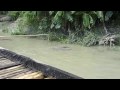 Otter fishermen of Narail