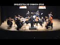 De Gonzaga a Sivuca - Orquestra de C�mara OPUS e Derico