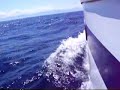 navigazione a vela