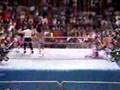 WWF 1990 - The Hart Foundation vs Rhythm & Blues - WWF Tag T