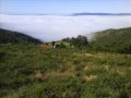 Un día de néboa no Baixo Miño