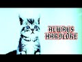 Akwasi () in Always Hardcore