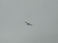 Saratoga ARF... Plane flies great.