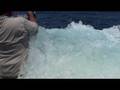 Rick Benitez hooked up on a White Marlin