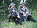 Bear Hunting