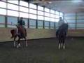 Alderlore ChoCho working with  Margaret Beeman's mare Sassy