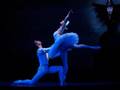 SWAN LAKE BALLET    KU�U G�L� BALES�