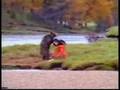 動物おもしろ動画・クマVS人