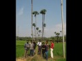 THE GOVERNMENT LAW COLLEGE,THIRUVANANTHAPURAM,KERALA,2003-2008 BATCH VIDEO..