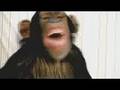 Samba De Amigo Wii - New Trailer