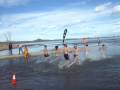 Polar Bear Plunge