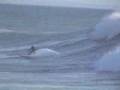 Peniche Surf