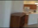 2799 Phoenix Palm