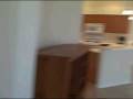 2799 Phoenix Palm