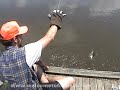 Crazy Redneck Fishing!