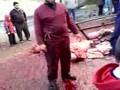 Kurban kesimi  2007 K Bayram� 